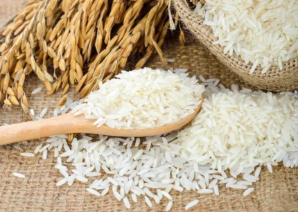 Riz Basmati de qualité supérieure